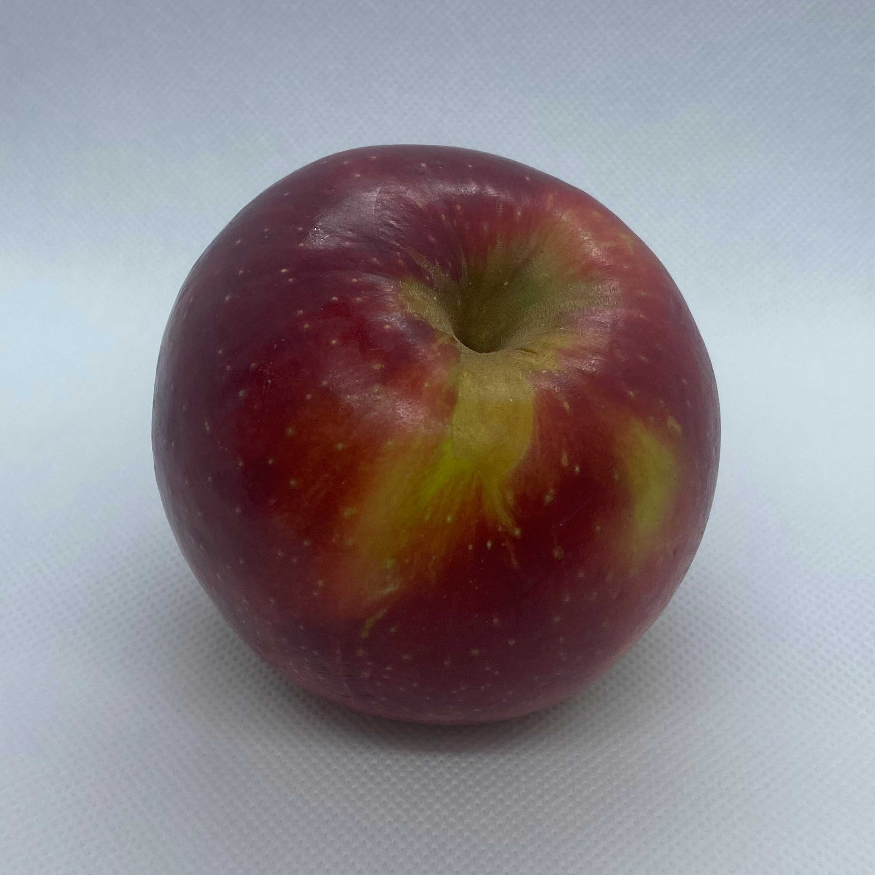 front shot of the apple displaying the naturally offset top center (stem)