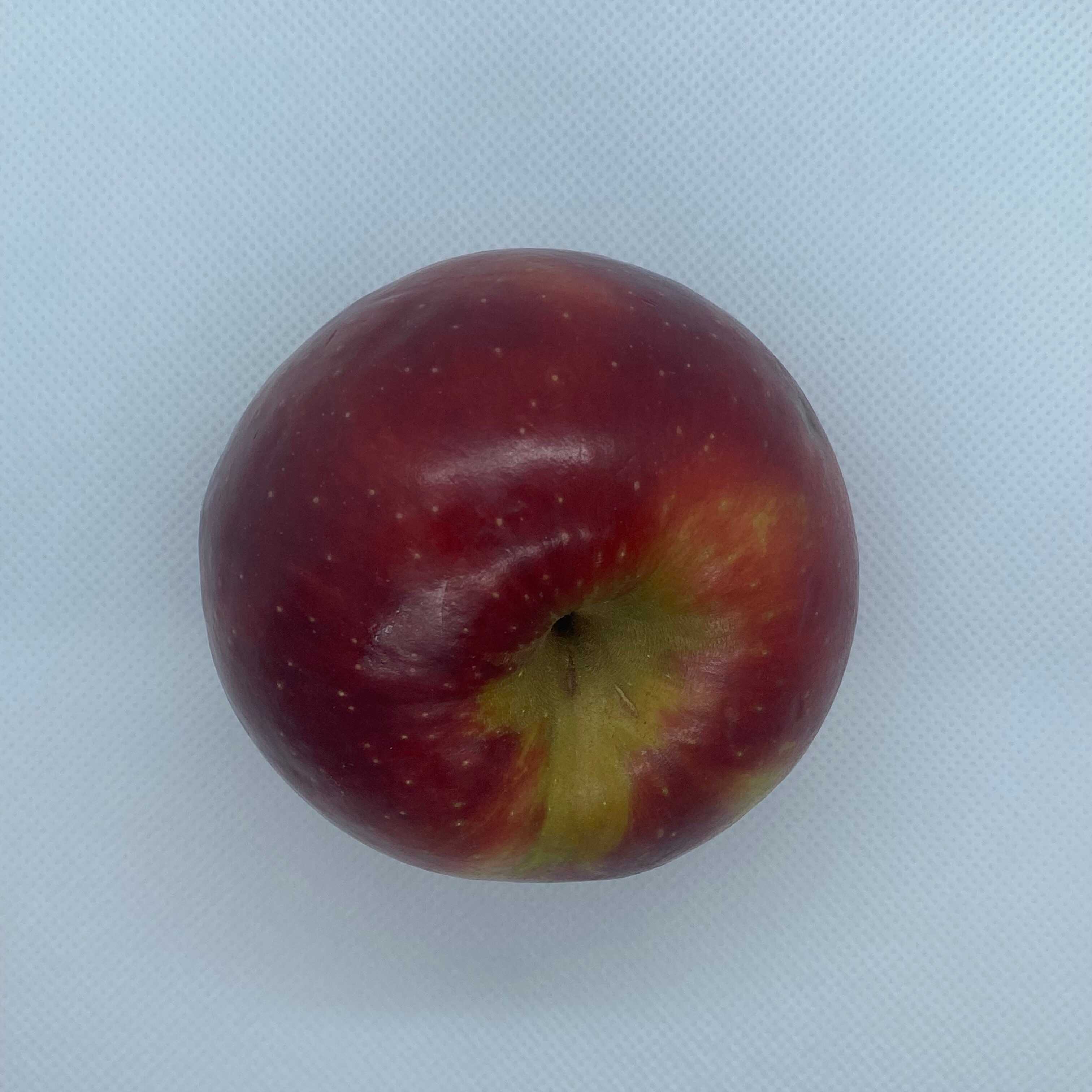 Top view of the apple
